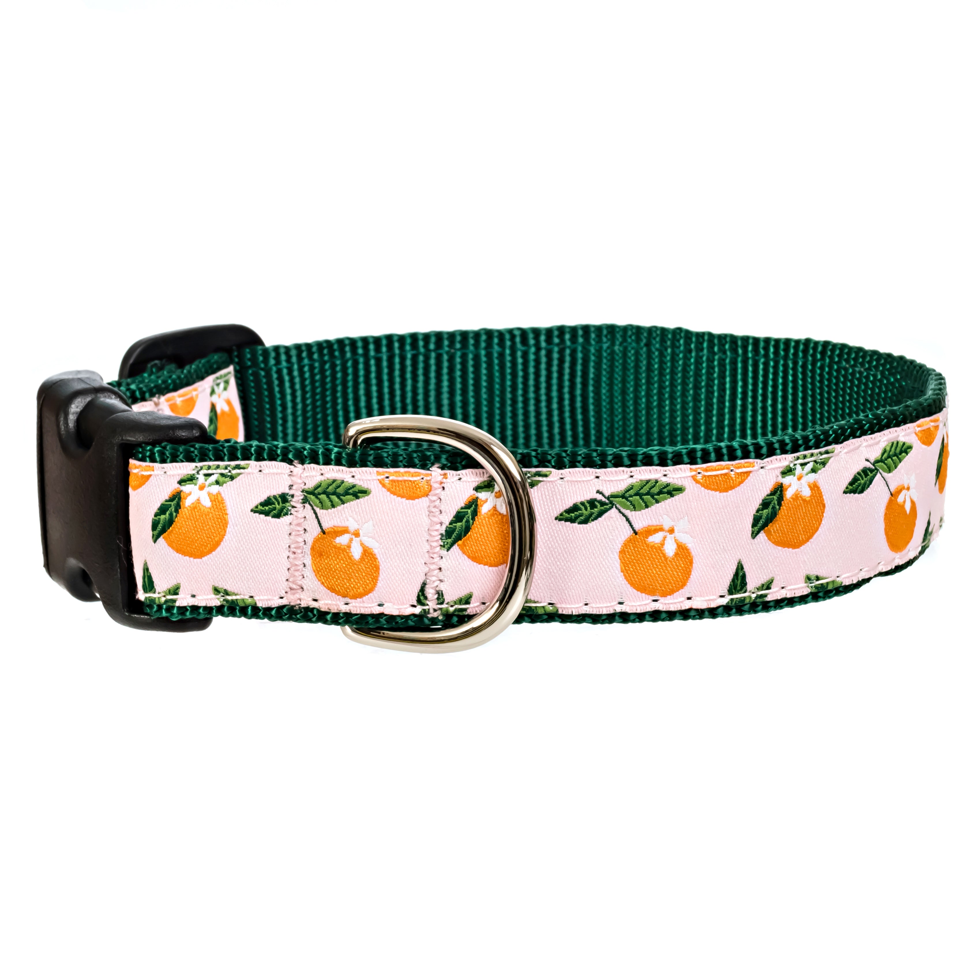 orange-blossom-dog-collar