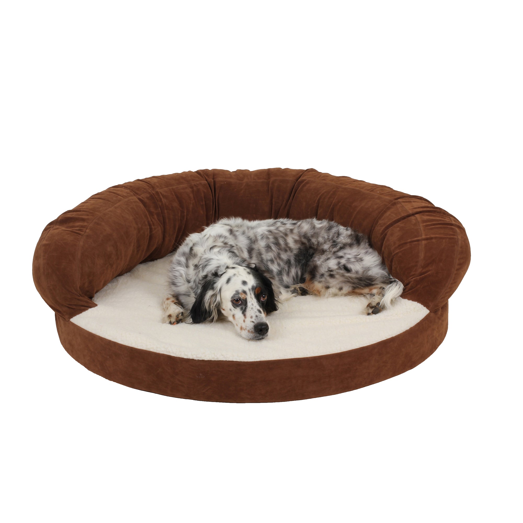 orthopedic dog bed for senior dogs chocolate brown