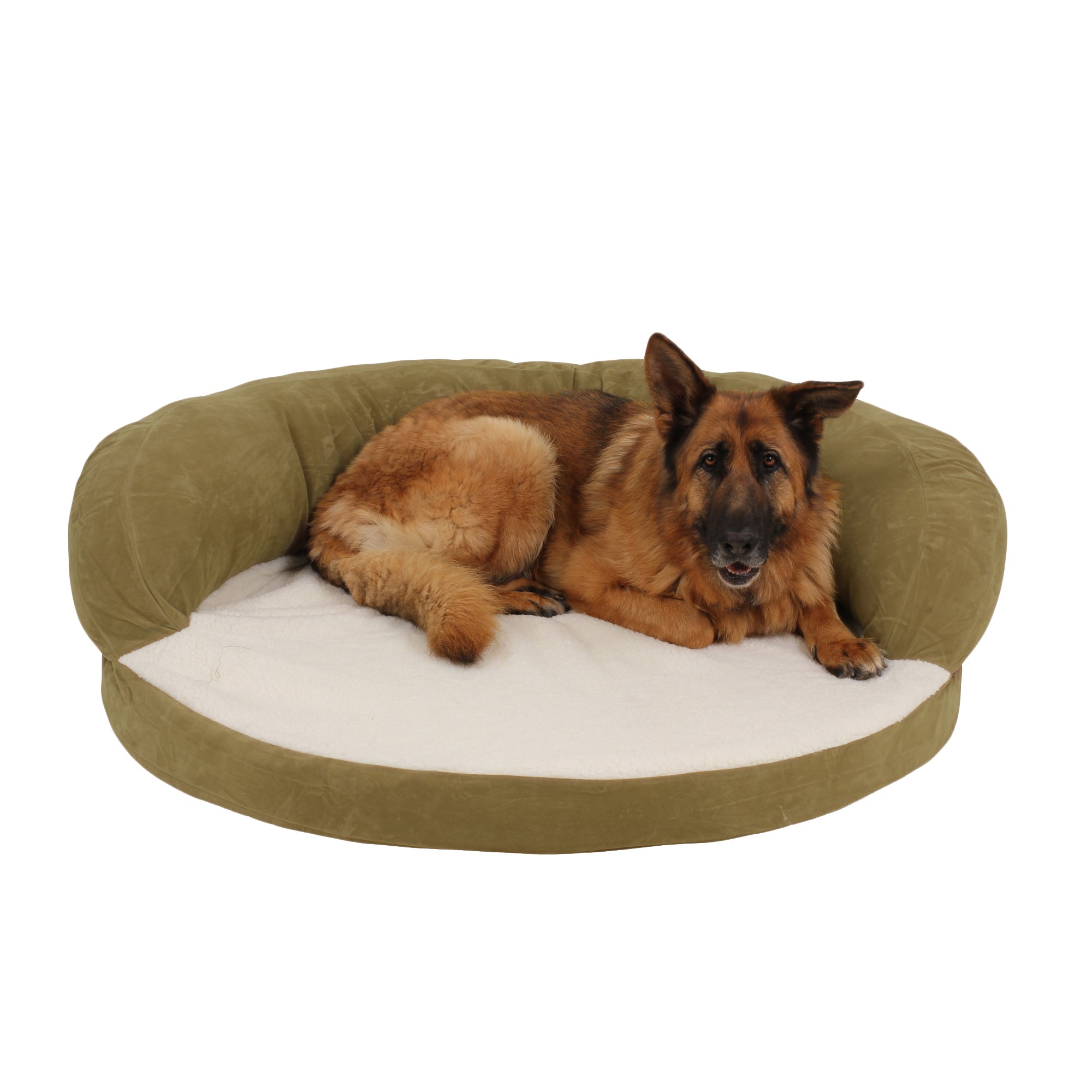 orthopedic dog bed for senior dogs sage green