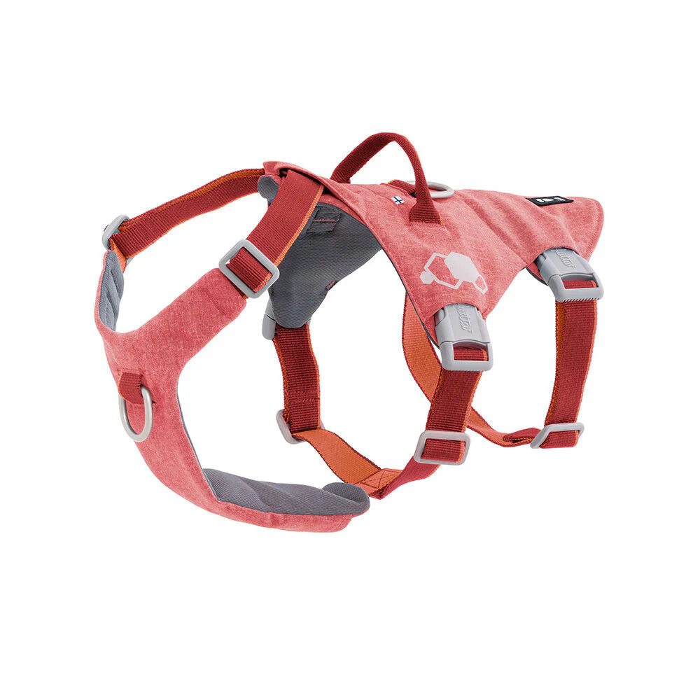 Red dog harness with gray accents on a white background