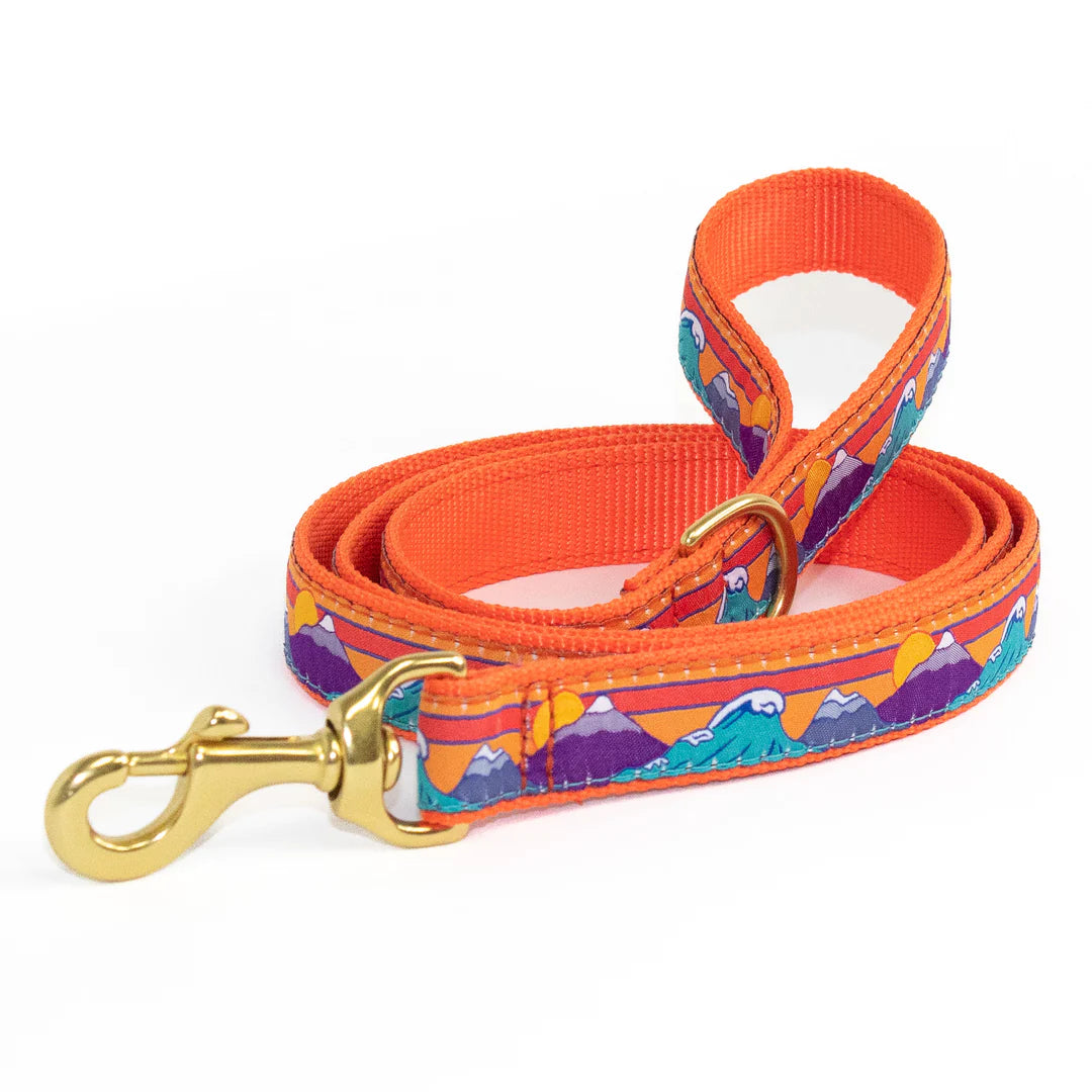 ski-surf-dog-leash