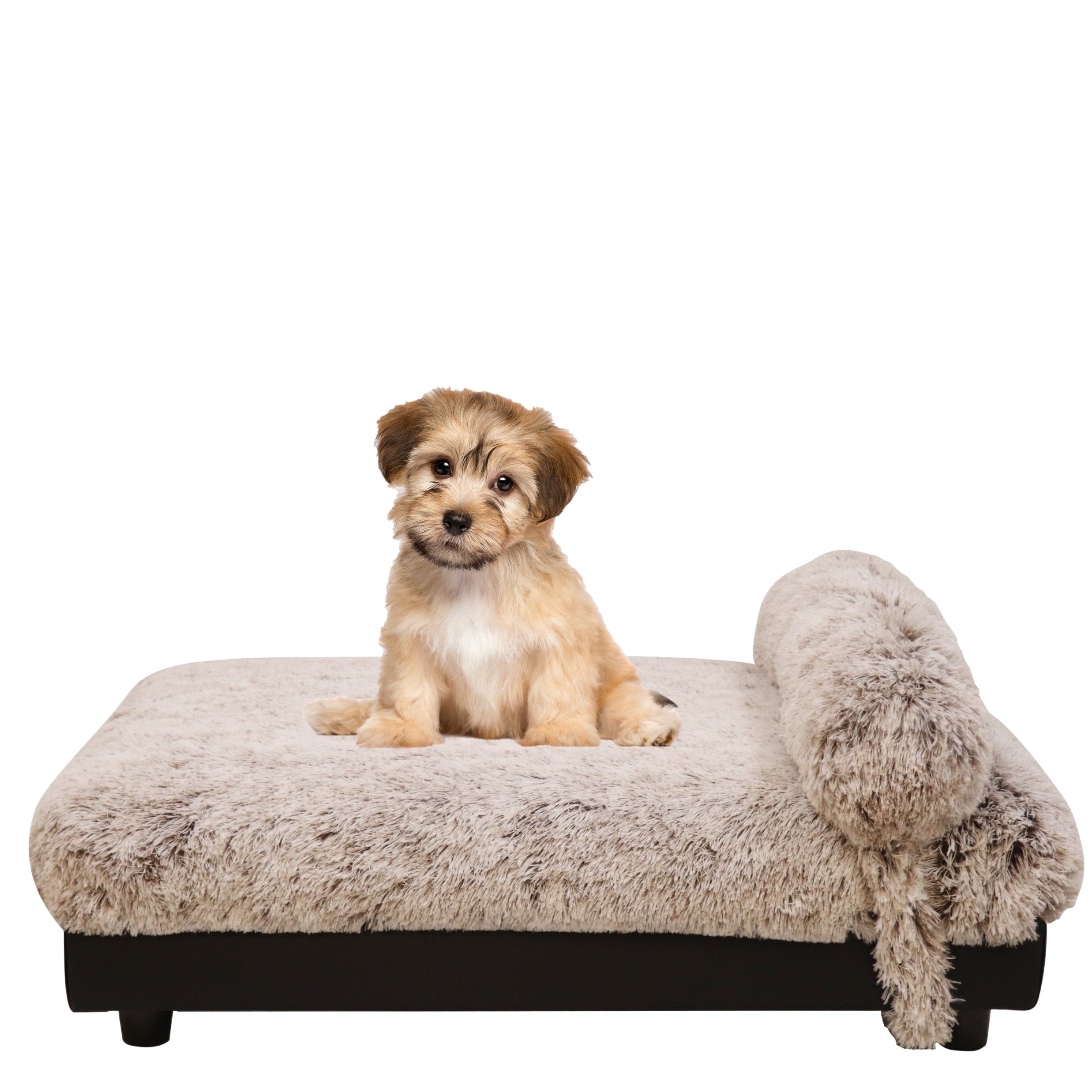 soho-raised-dog-bed-milo-brown