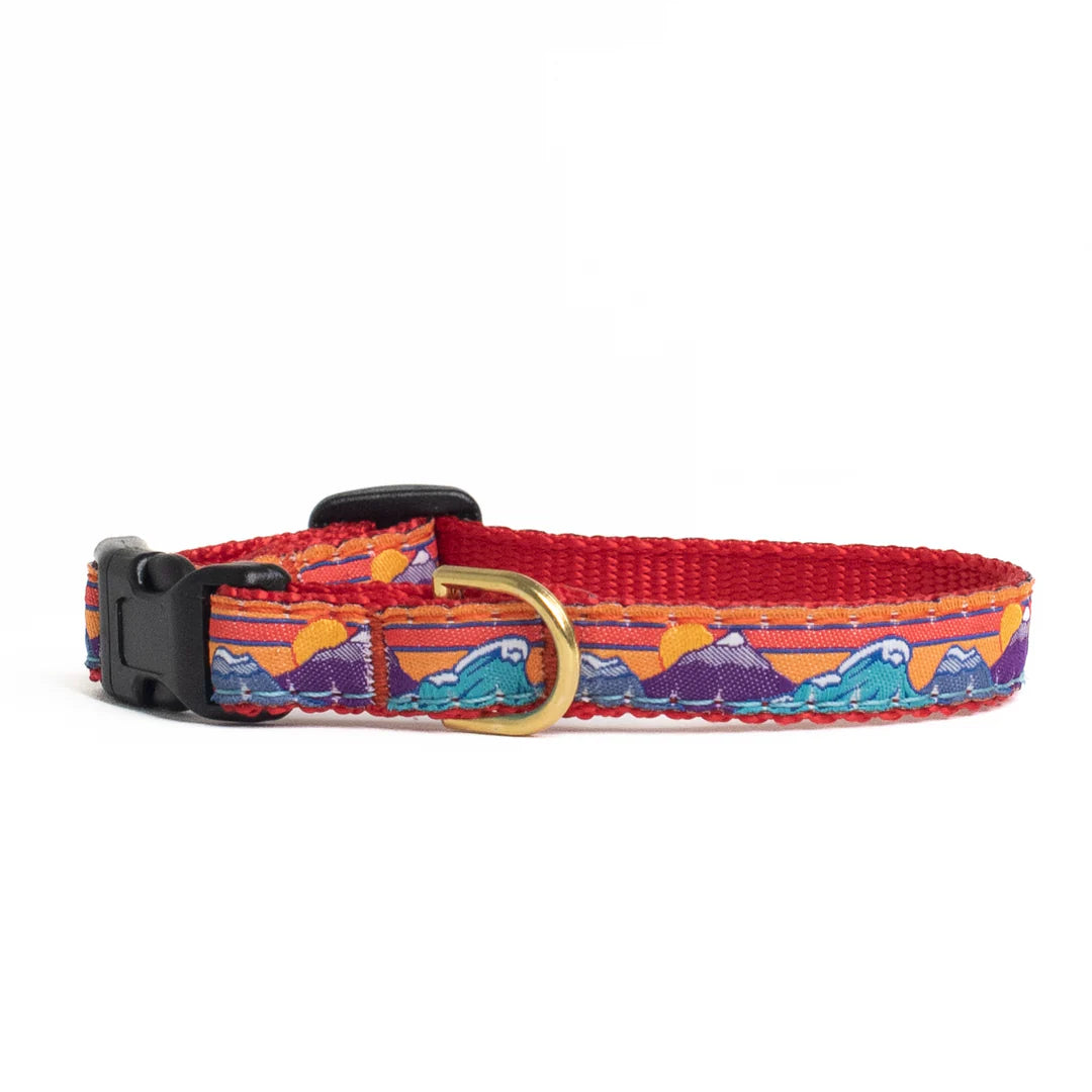surf-ski-dog-collar-small-breed-teacup