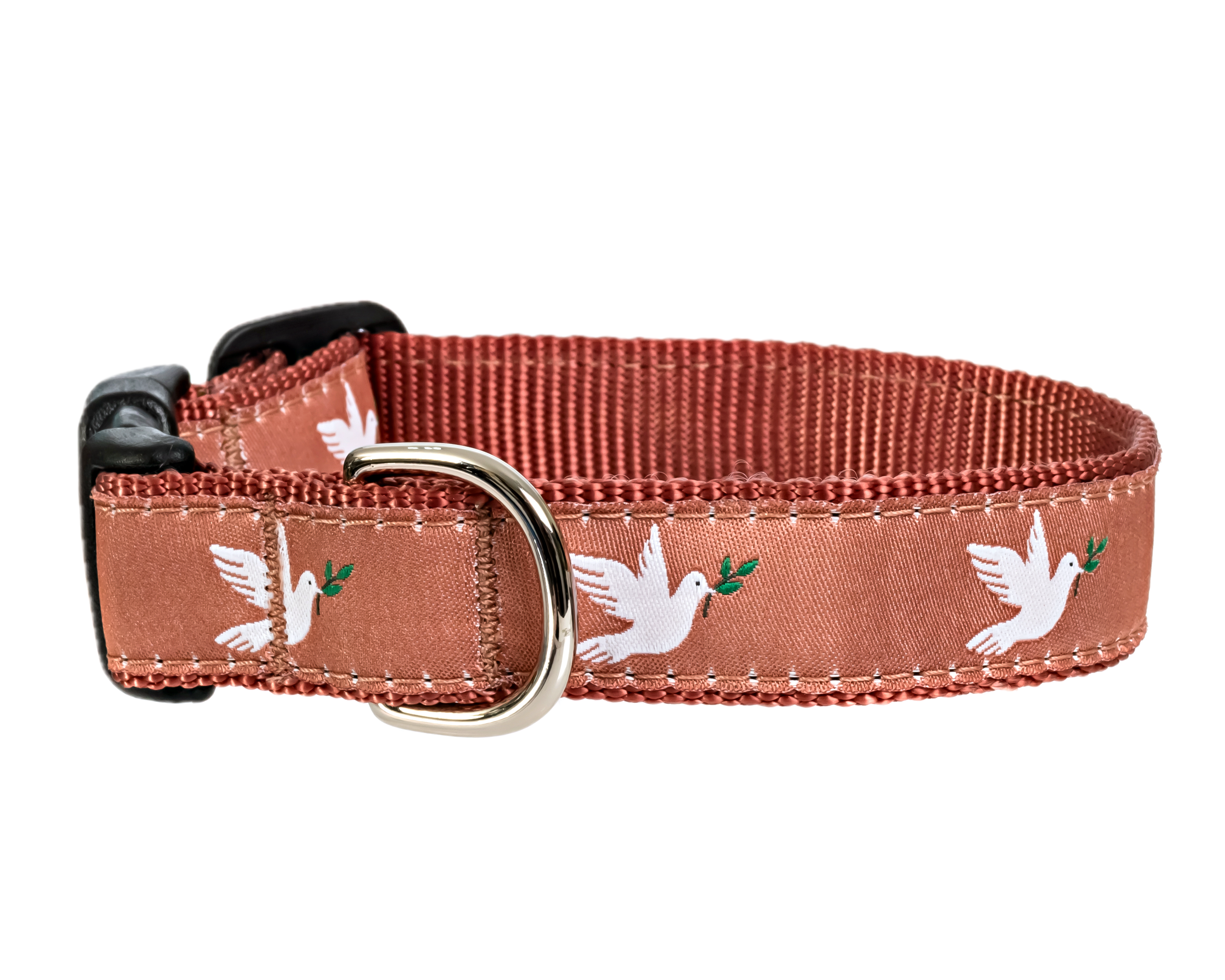 colorado-wedding-doves-dog-collar