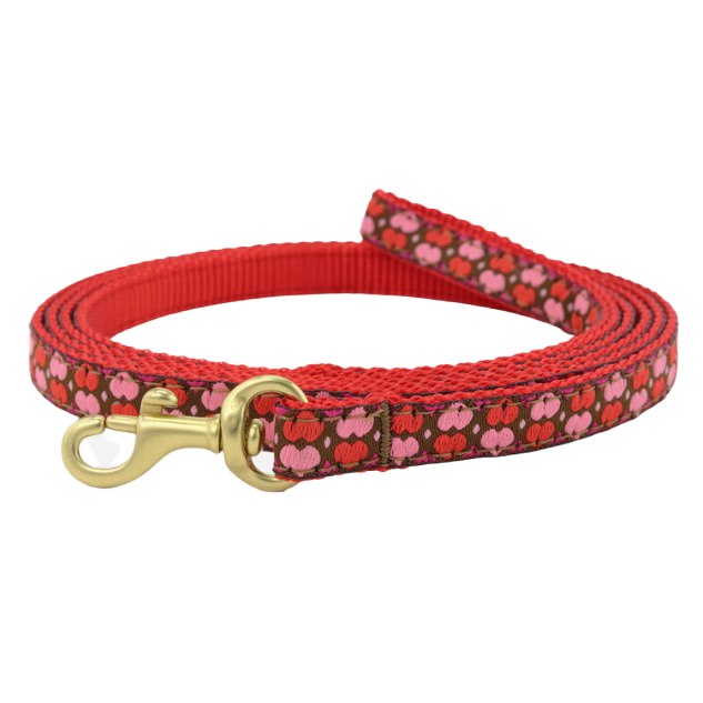 ALL-HEARTS-VALENTINES-DOG-LEASH-SMALL-BREED-TEACUP
