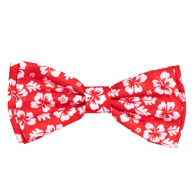 ALOHA-CORAL-DOG-BOW-TIE