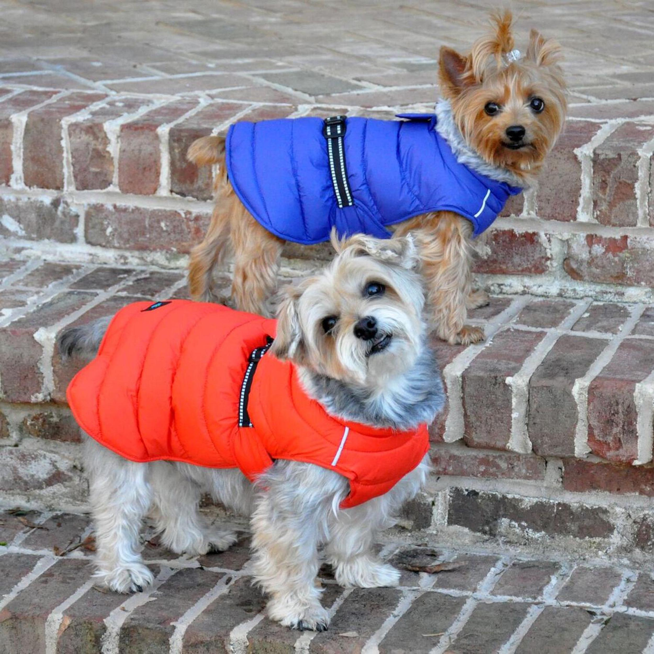 ALPINE-EXTREME-DOG-PUFFY-WINTER-COAT-ORANGE