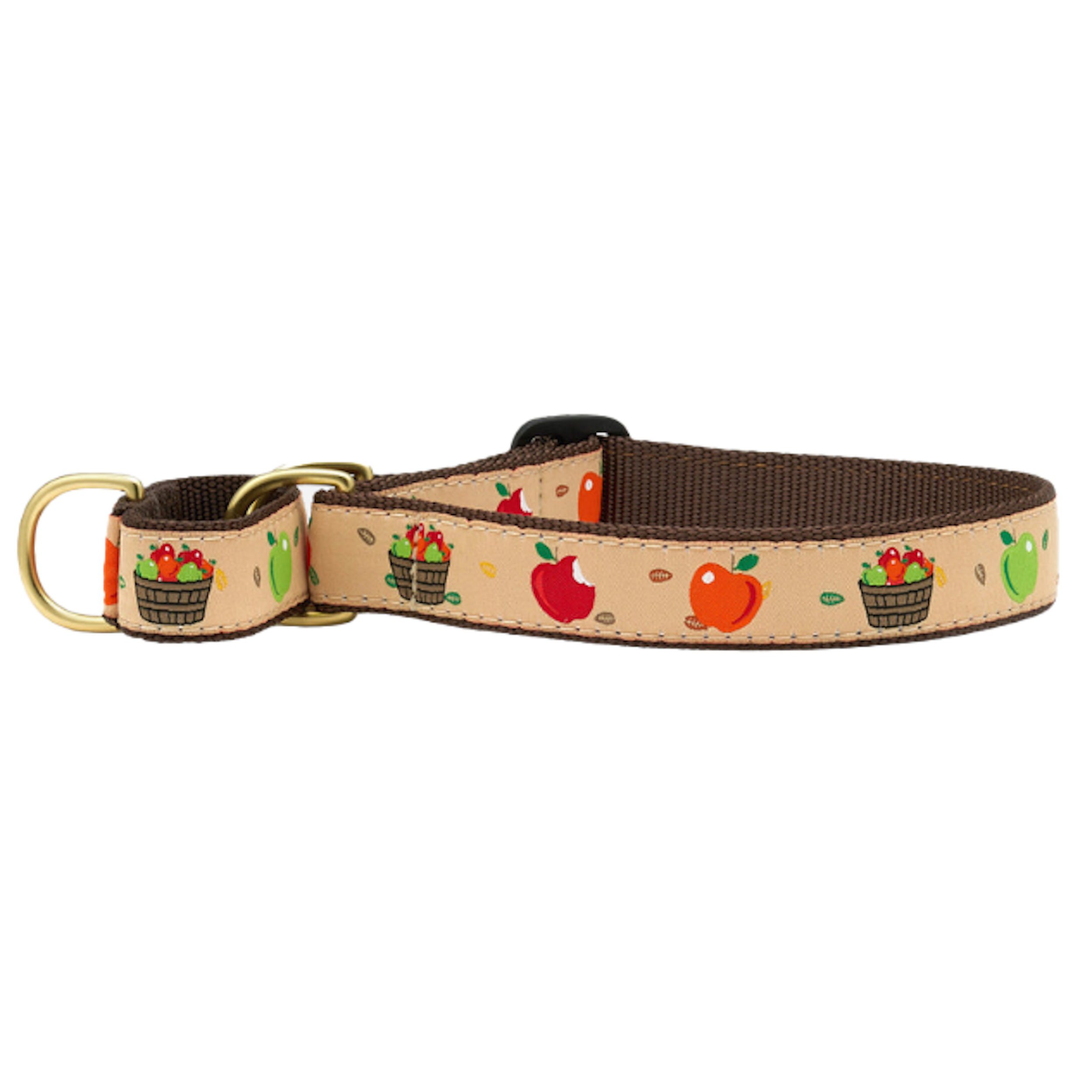 APPLE-OF-MY-EYE-DOG-COLLAR-MARTINGALE-NO-PULL