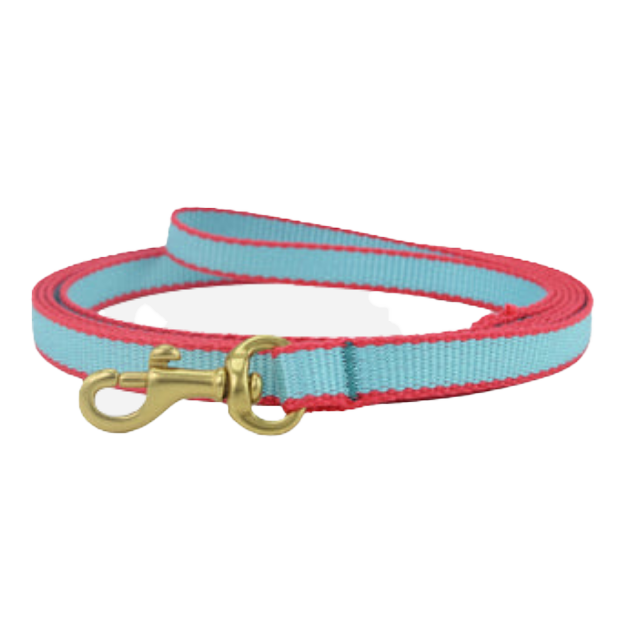 AQUA-CORAL-DOG-LEASH-SMALL-BREED-TEACUP