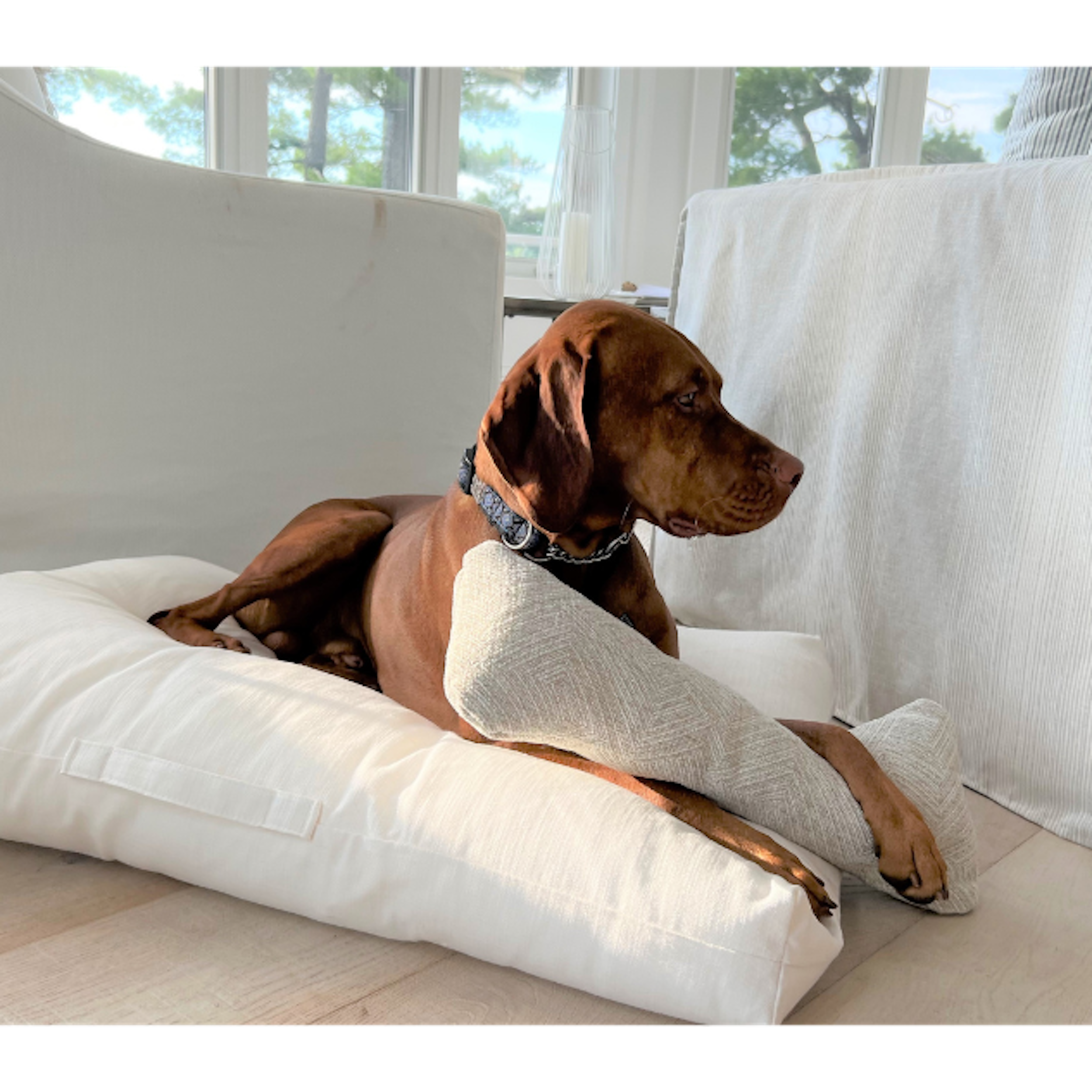 AVENUE-PARCHMENT-DOG-BED
