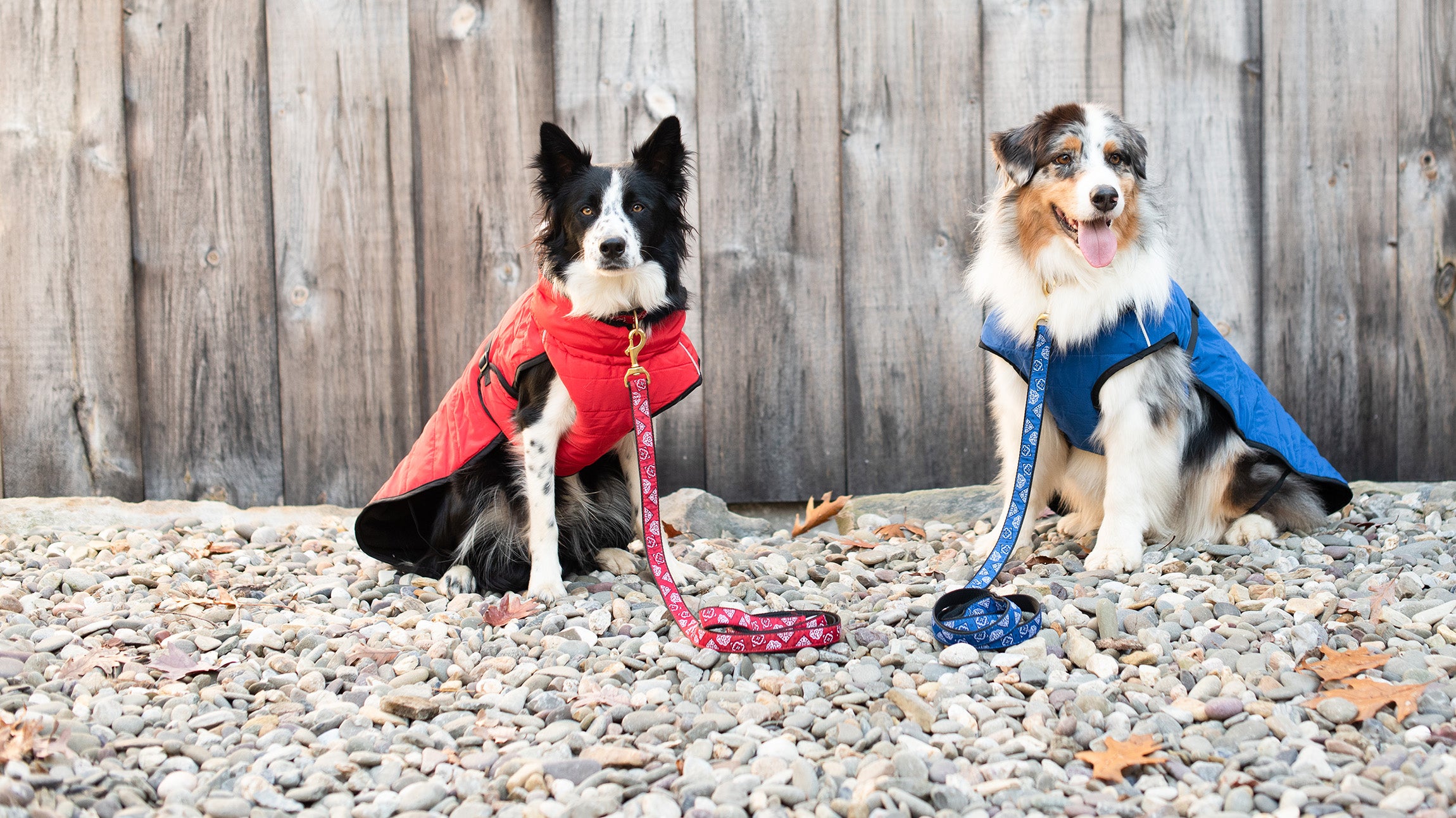 RED-BANDANA-DOG-COLLAR