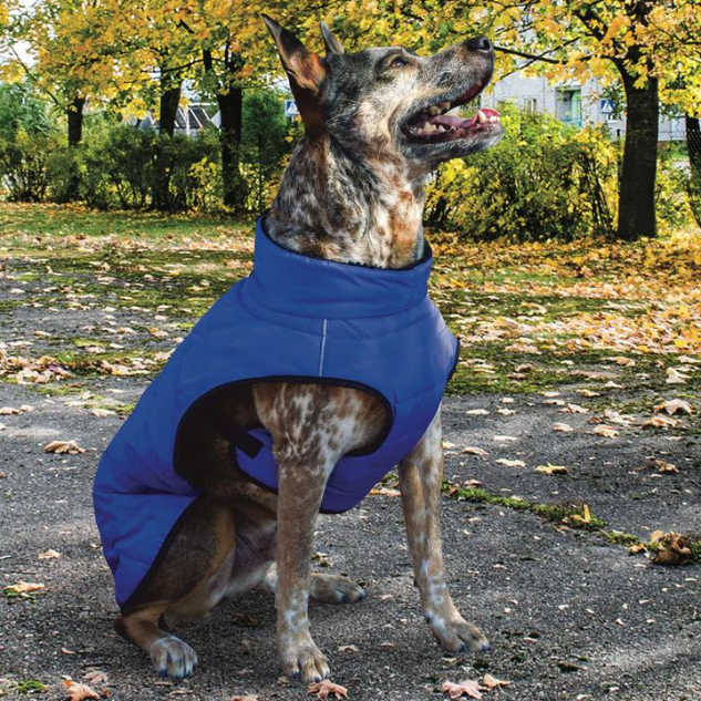 BASECAMP-DOG-COAT-PARKA-BLUE