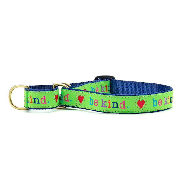 BE-KIND-DOG-COLLAR-MARTINGALE-NO-PULL