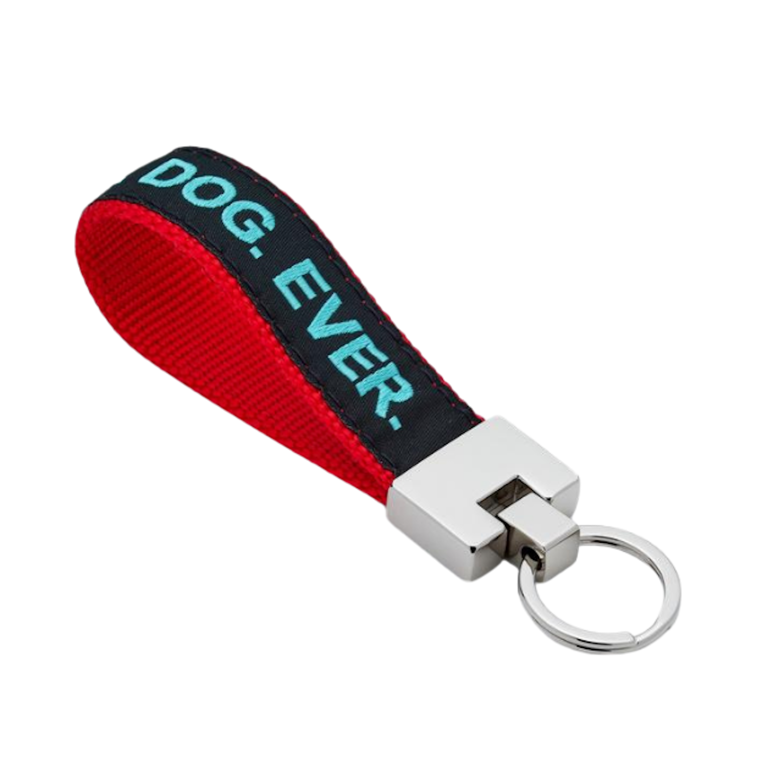 BEST-DOG-EVER-DOG-KEY-RING