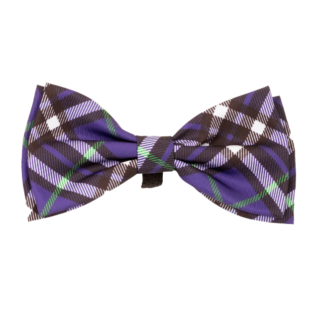 BIAS-PLAID-PURPLE-DOG-BOW-TIE