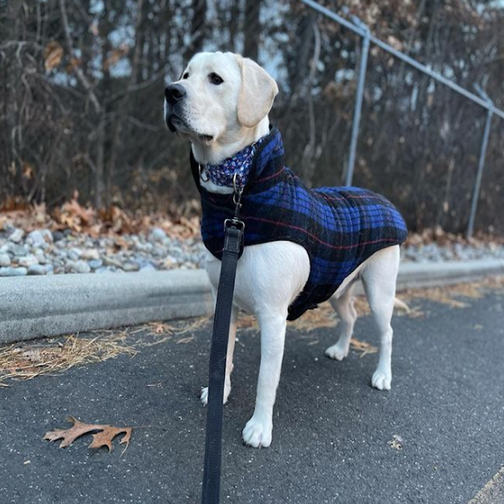 BLUE-PLAID-FLEECE-DOG-COLLAR-LEASH-HARNESS