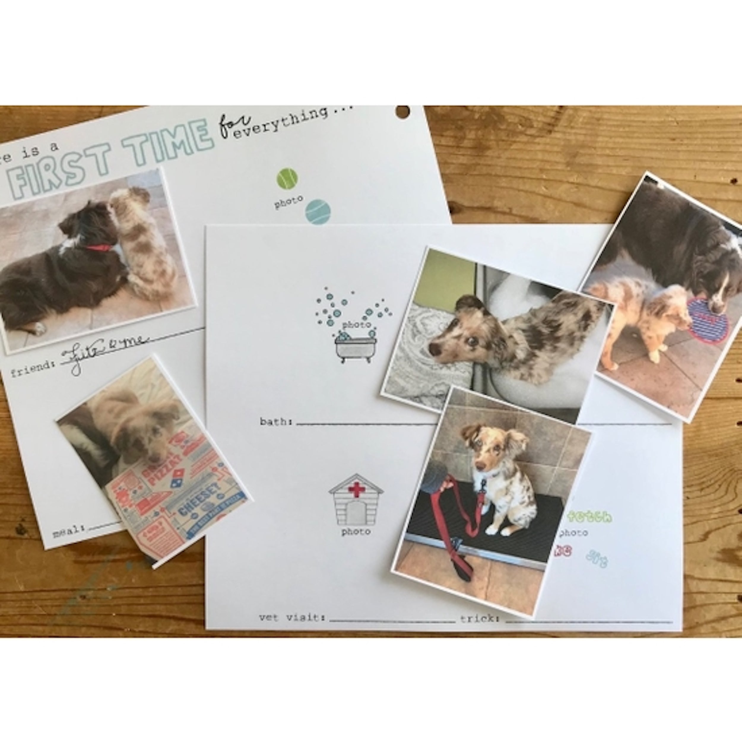 BOULDERBARKS-BARK-BOOK-SCRAPBOOK-DOG