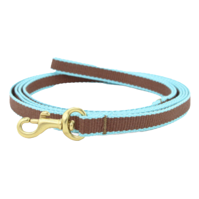 BROWN-AQUA-DOG-LEASH-SMALL-BREED-TEACUP