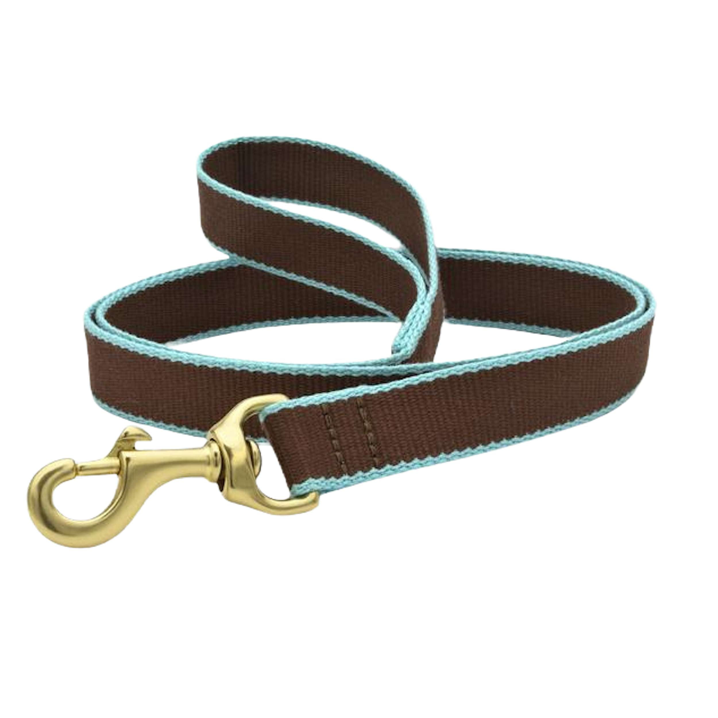 BROWN-AQUA-DOG-LEASH