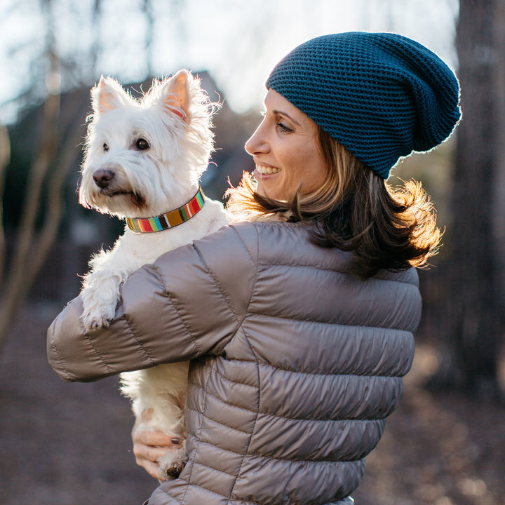 BROWN-STRIPE-DOG-COLLAR-LEASH-HARNESS