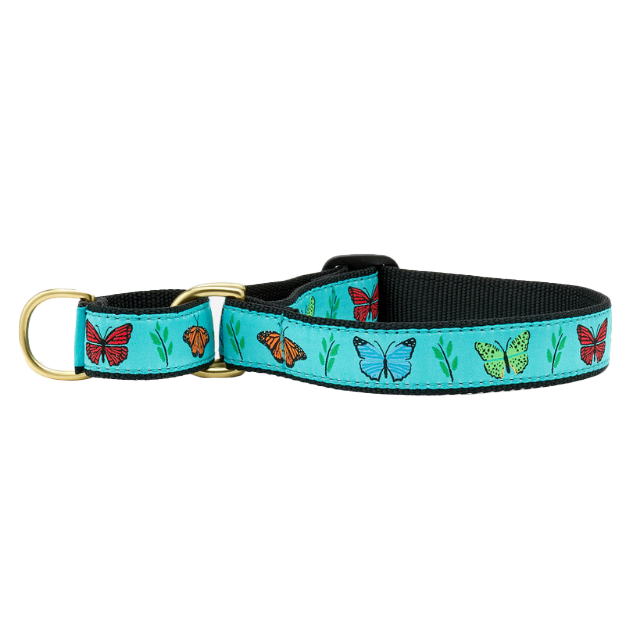 BUTTERFLY-EFFECT-DOG-COLLAR-MARTINGALE-NO-PULL