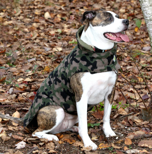 CAMO-DOG-COAT