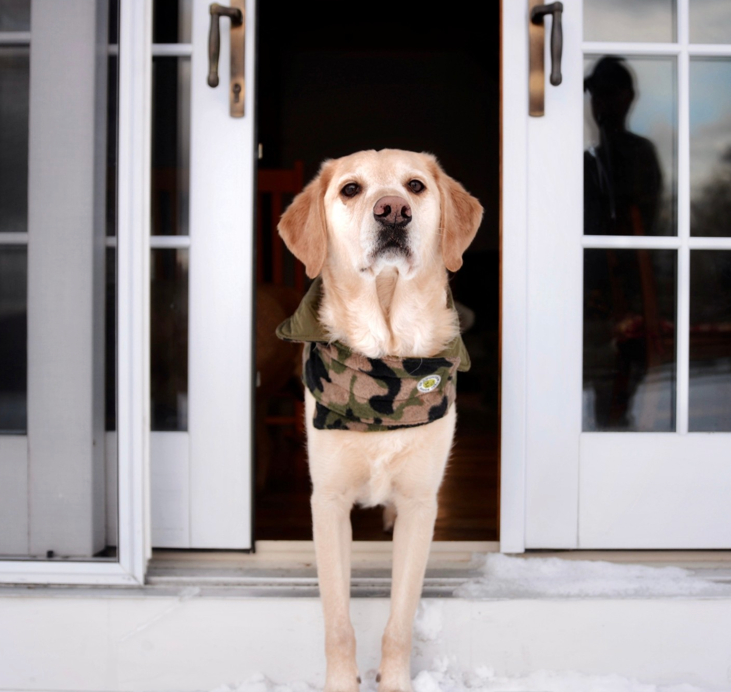 CAMO-DOG-COAT