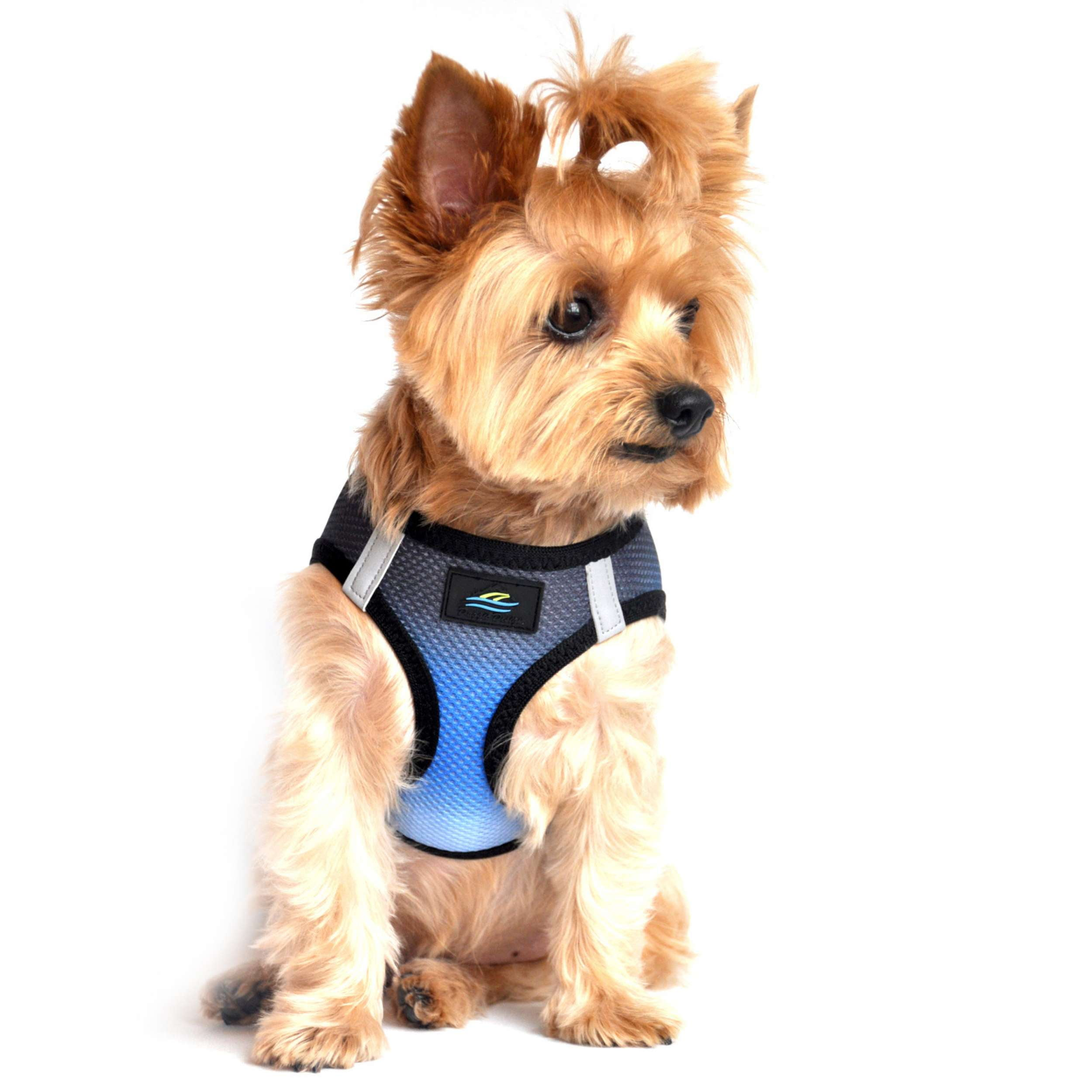 CHOKE-FREE-MESH-DOG-HARNESS-OMBRE-MIDNIGHT-SKY