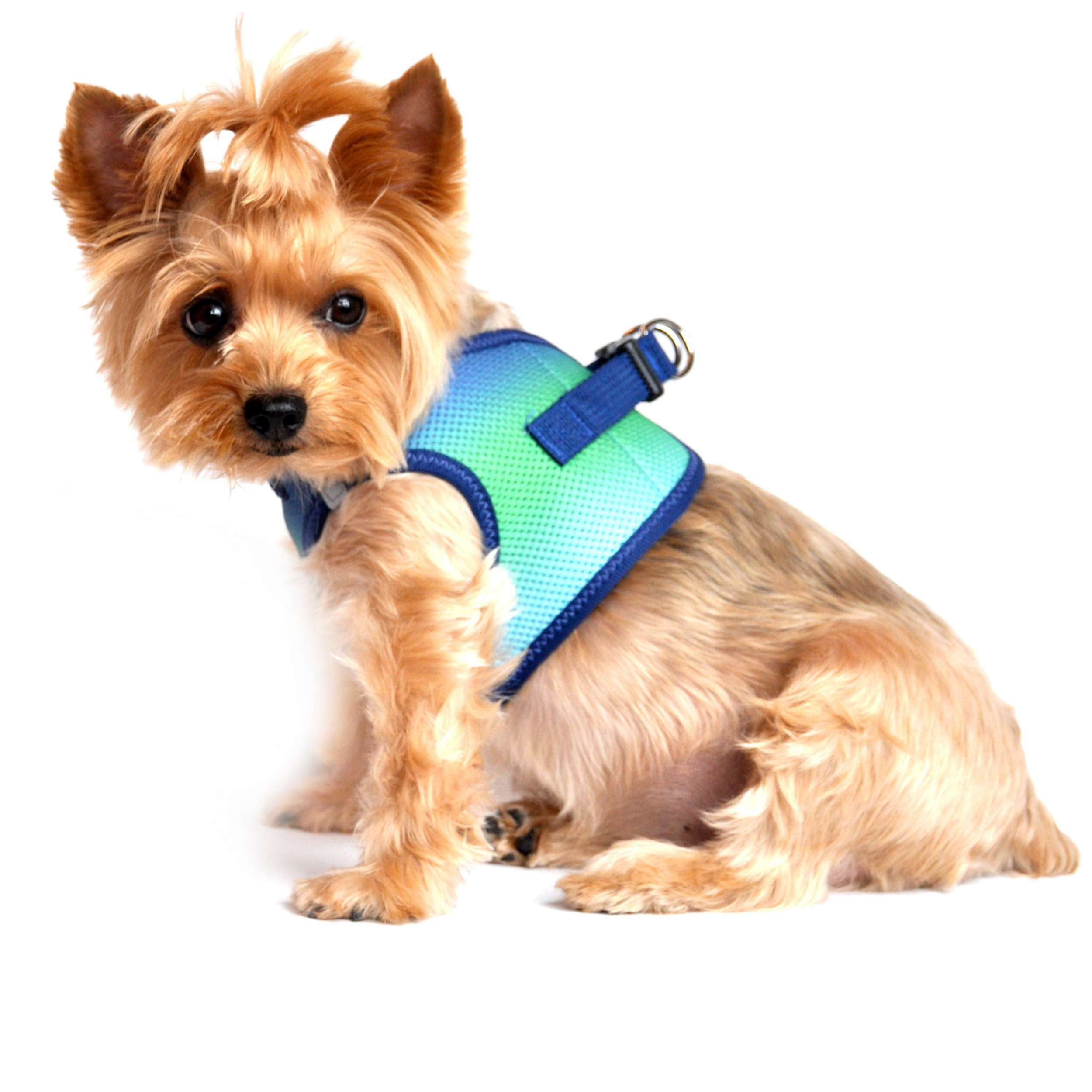 CHOKE-FREE-MESH-DOG-HARNESS-OMBRE-NORTHERN-LIGHTS