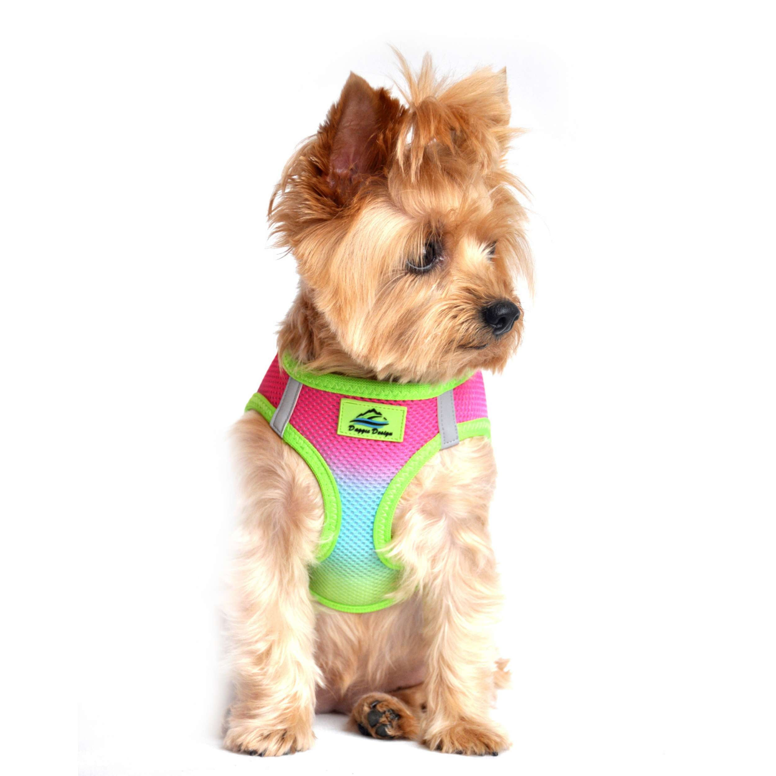 CHOKE-FREE-MESH-DOG-HARNESS-OMBRE-RAINBOW