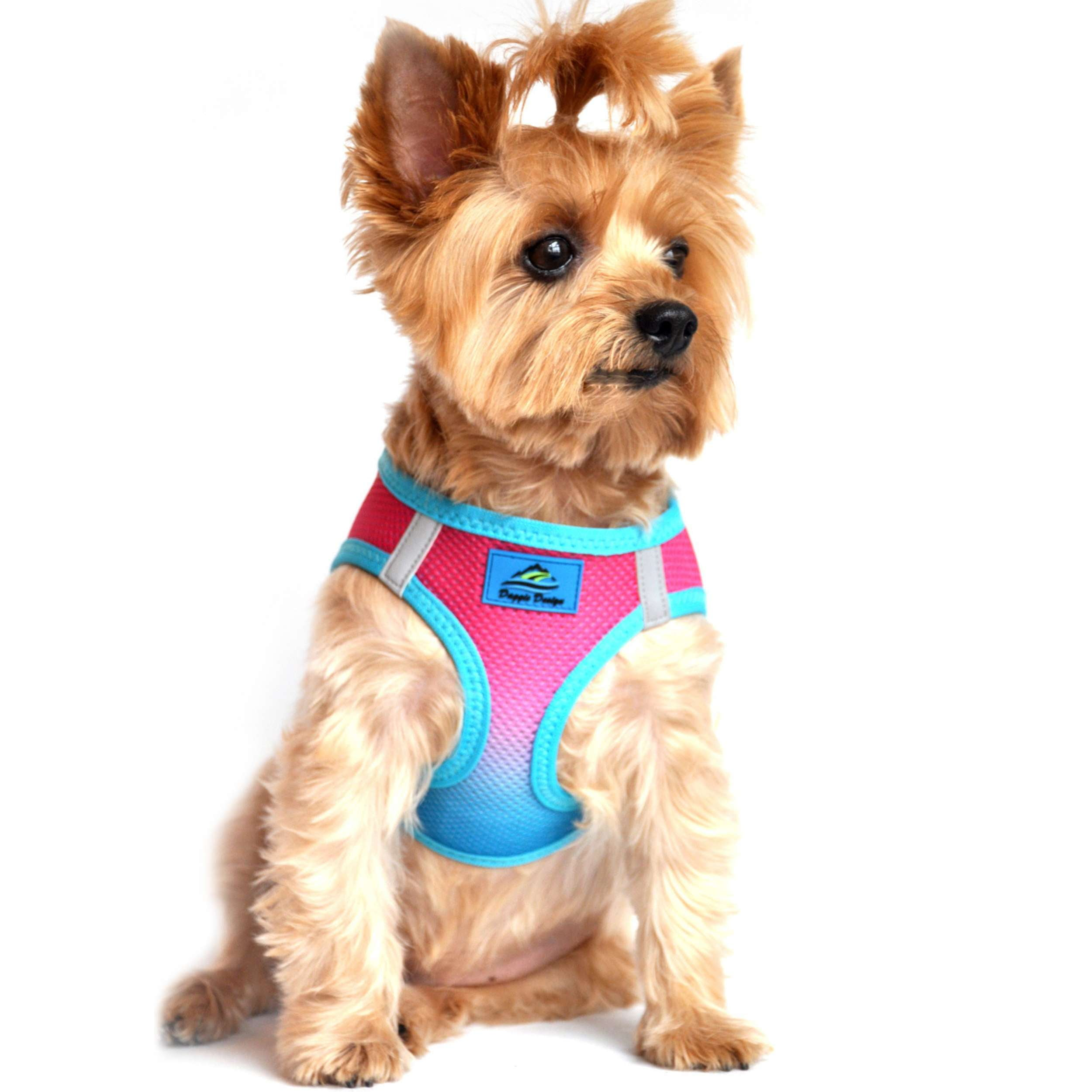 CHOKE-FREE-MESH-DOG-HARNESS-OMBRE-SUGAR-PLUM