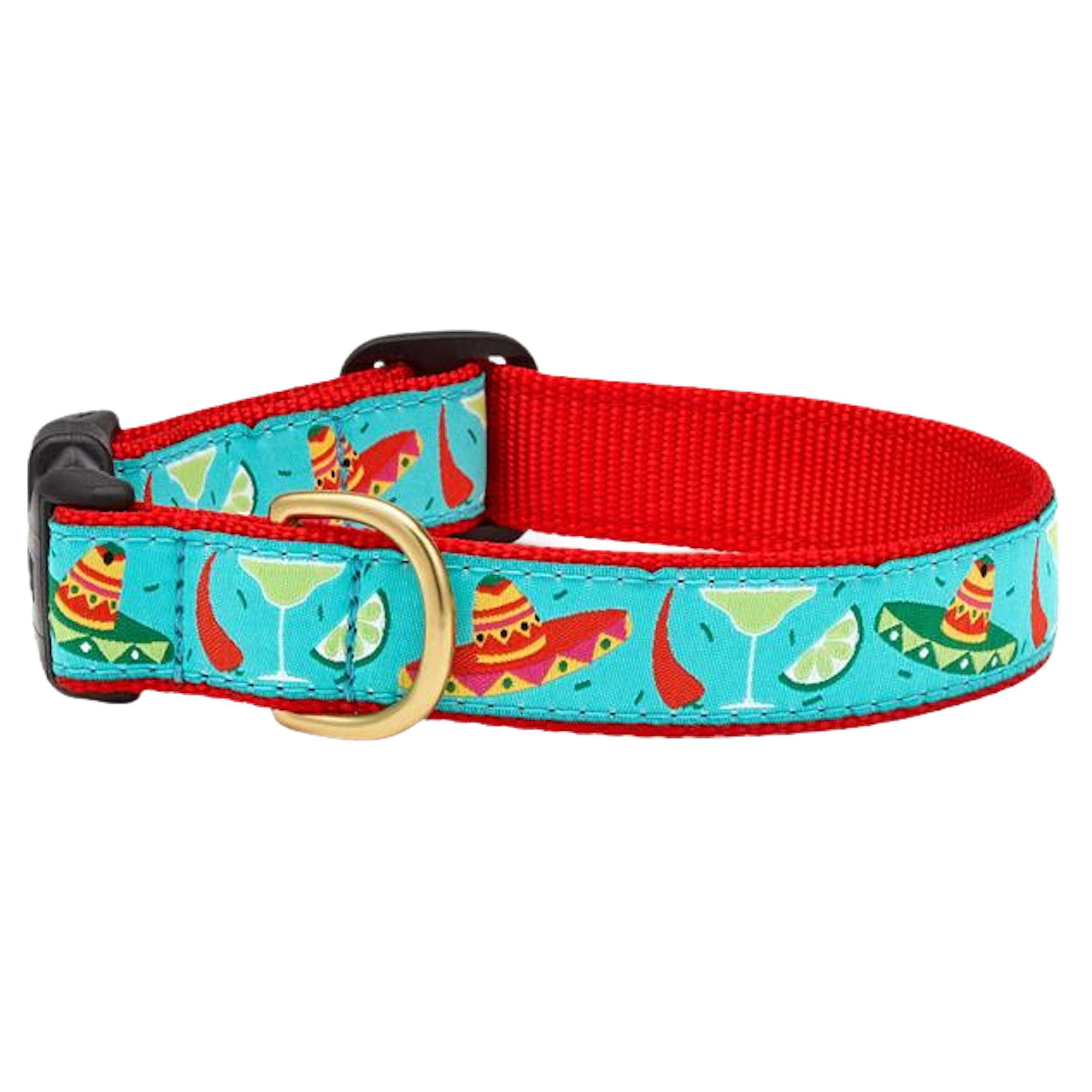 CINCO-DE-MAYO-DOG-COLLAR