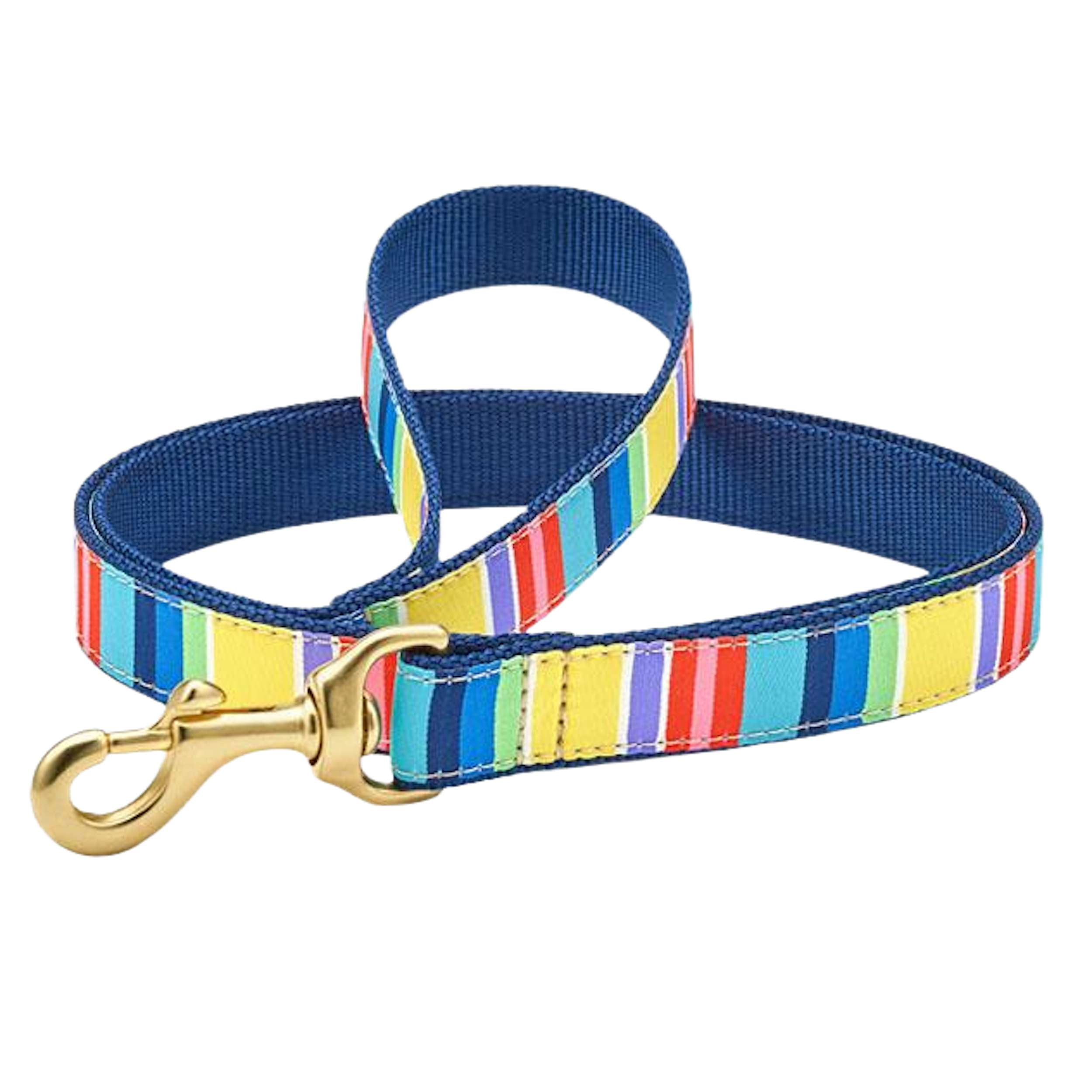 colorful-stripes-dog-leash
