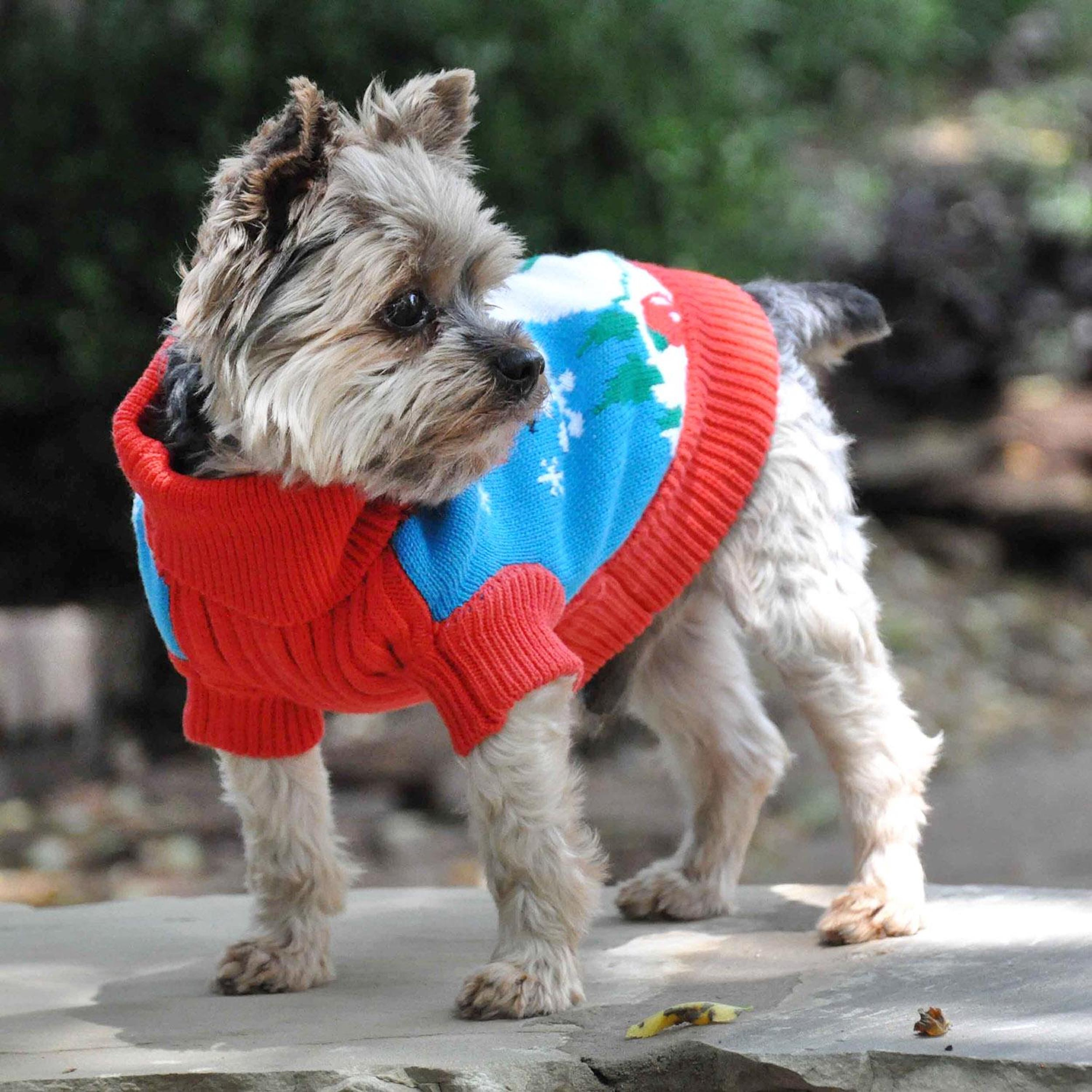 COMBED-COTTON-CABLE-KNIT-DOG-SWEATER-UGLY-SNOWMAN