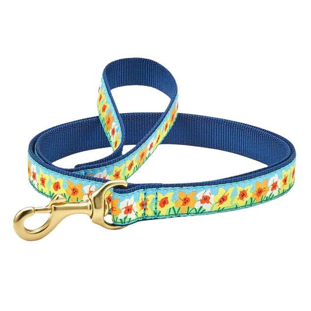 daffodils-dog-leash