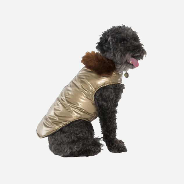 DOG-COAT-ASPEN-PUFFER-GOLD