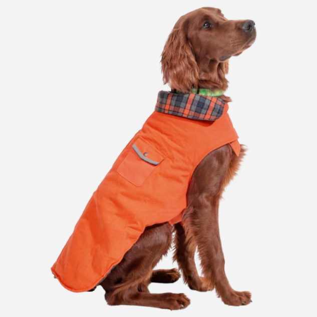 DOG-COAT-FIELD-ORANGE-PLAID