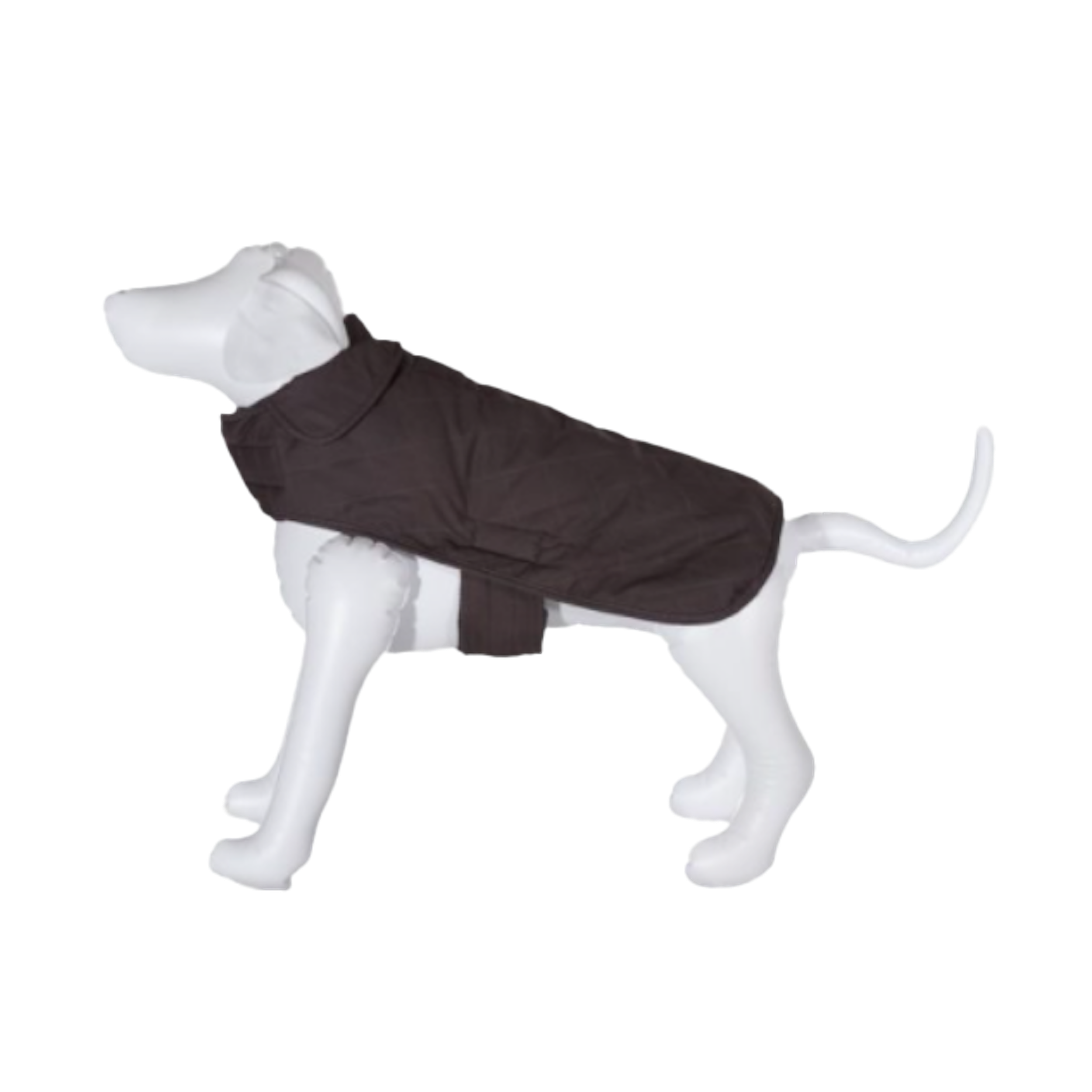 DOG-COAT-PENDLETON-ACADIA-NATIONAL-PARK