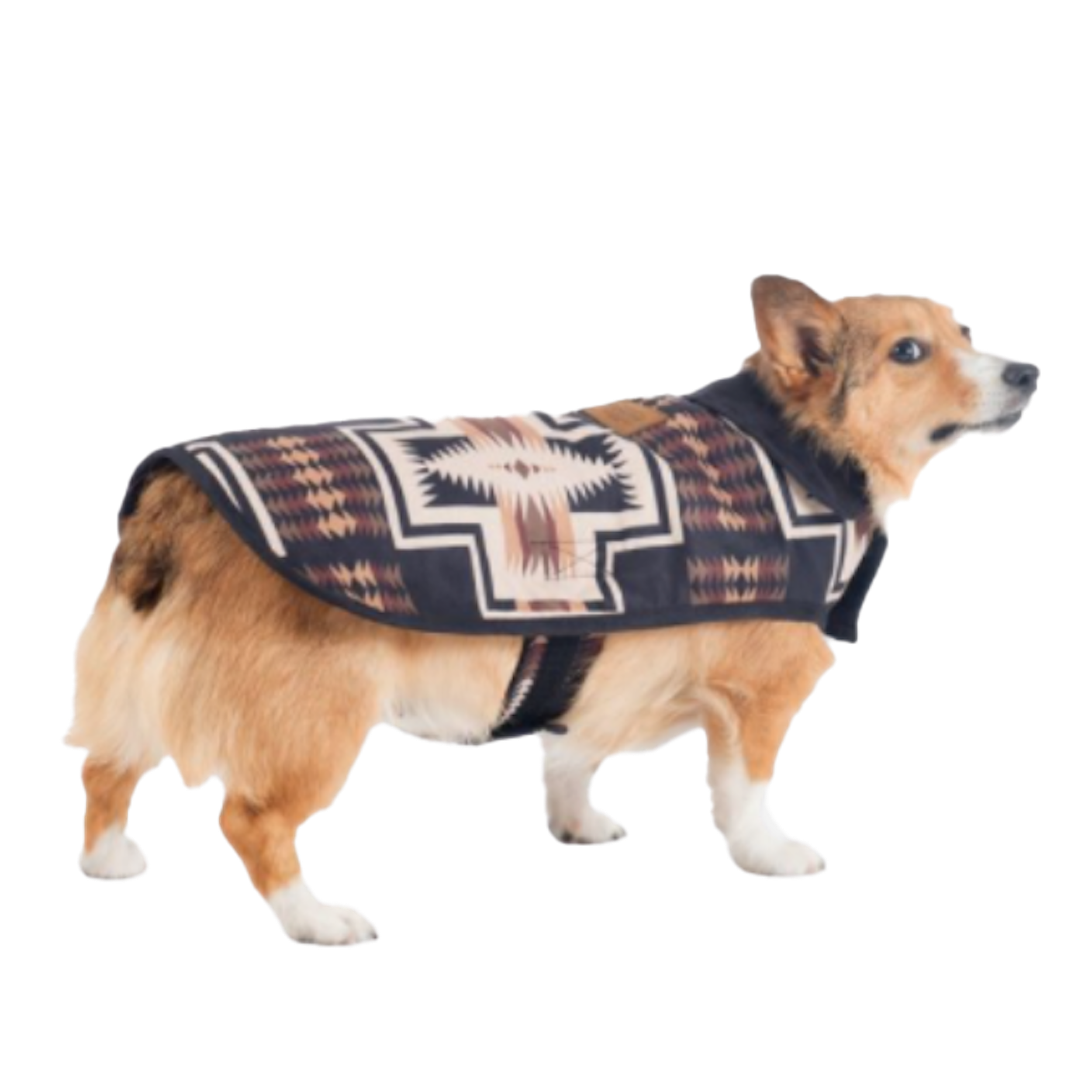 DOG-COAT-PENDLETON-HARDING-CLASSICS