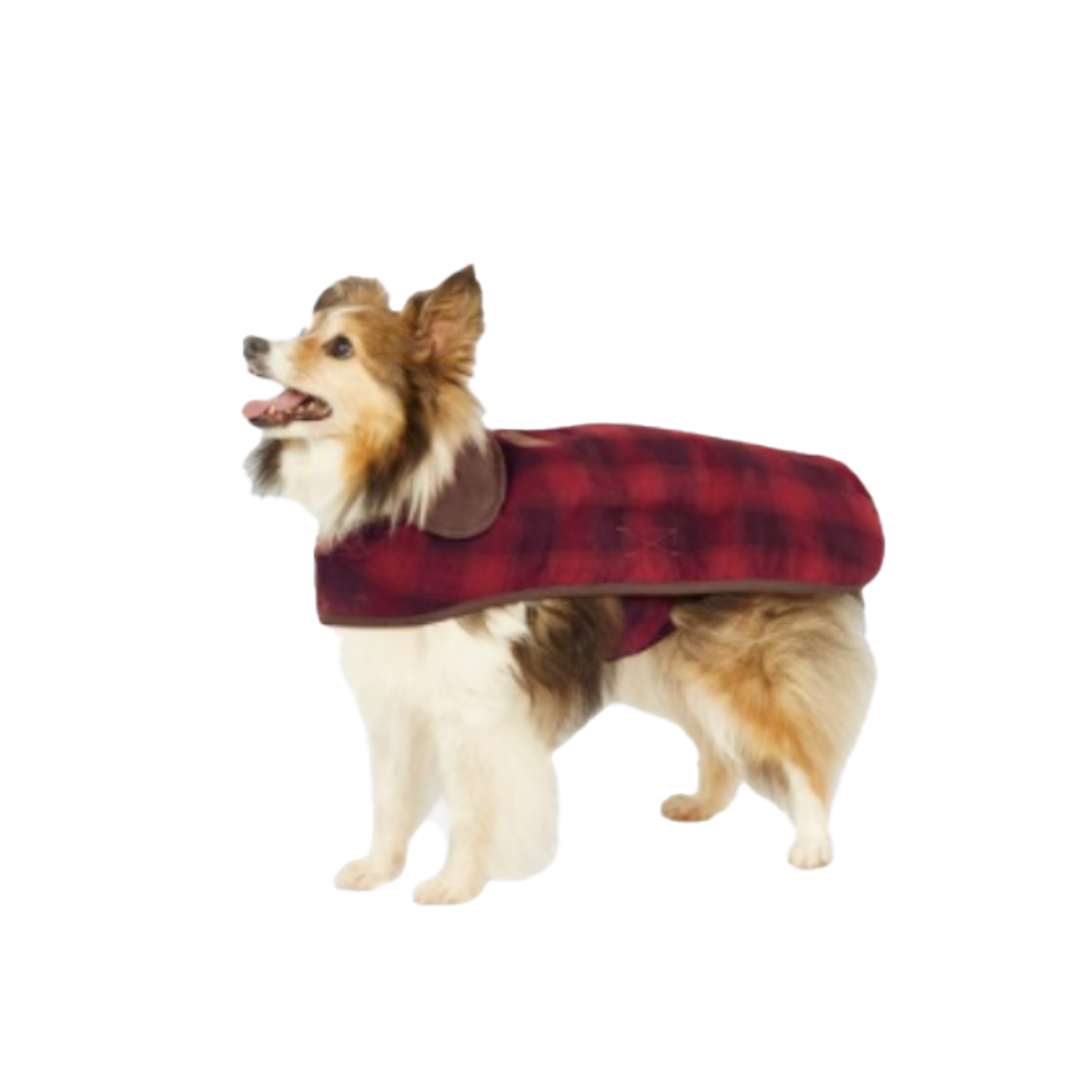 DOG-COAT-PENDLETON-RED-OMBRE-PLAID