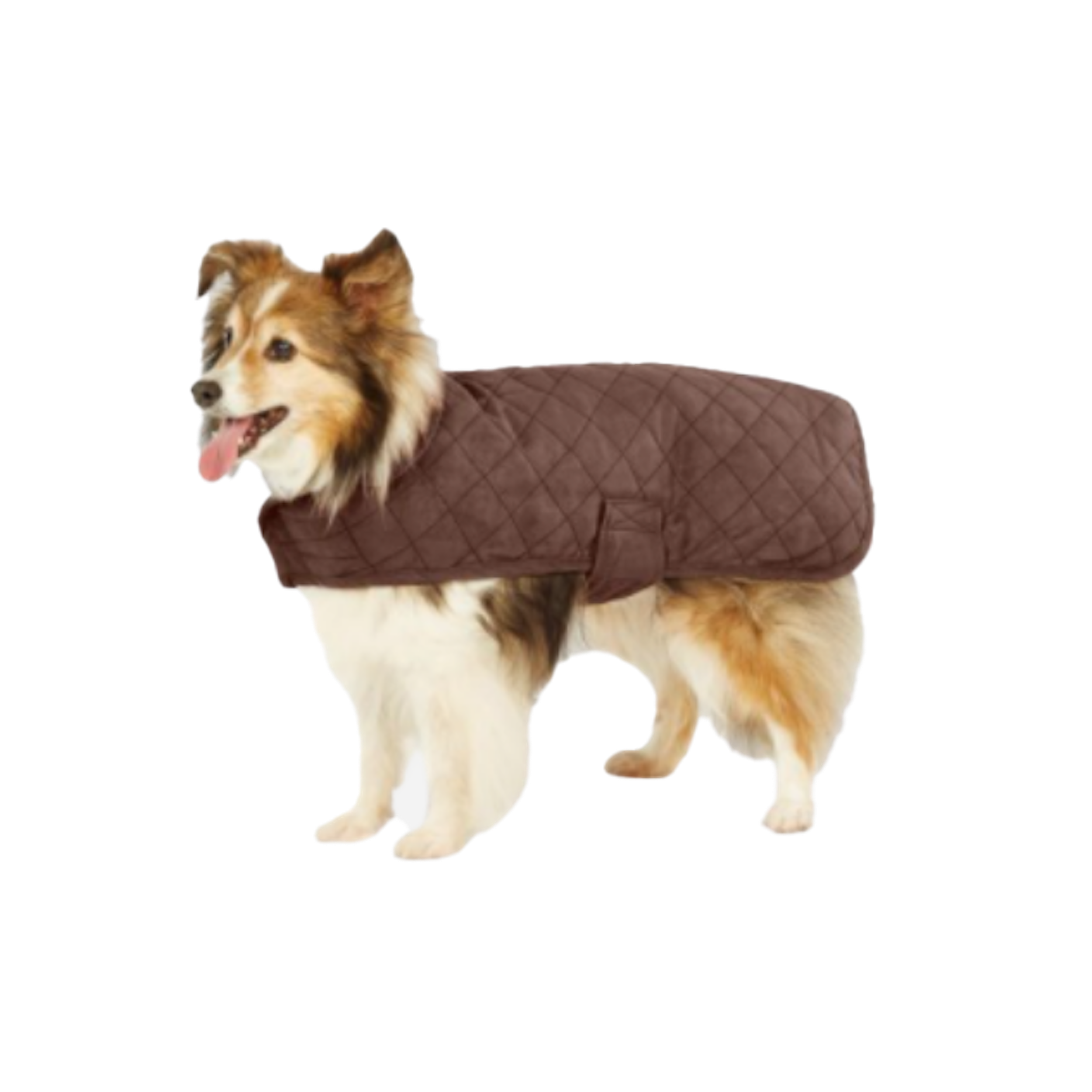 DOG-COAT-PENDLETON-RED-OMBRE-PLAID