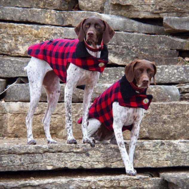 DOG-COAT-RED-BUFFALO-CHECK