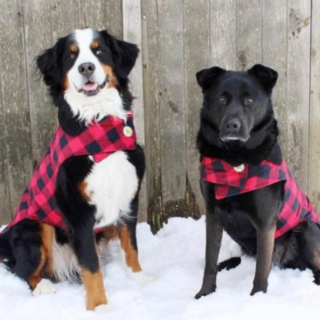 DOG-COAT-RED-BUFFALO-CHECK