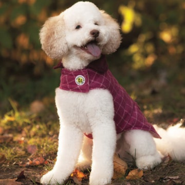 DOG-COAT-TWEED-PINK