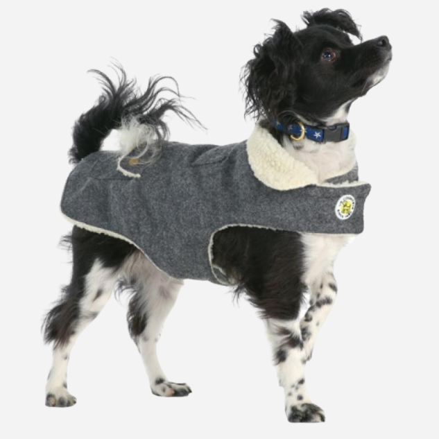 DOG-COAT-WOOL-FLEECE-GRAY