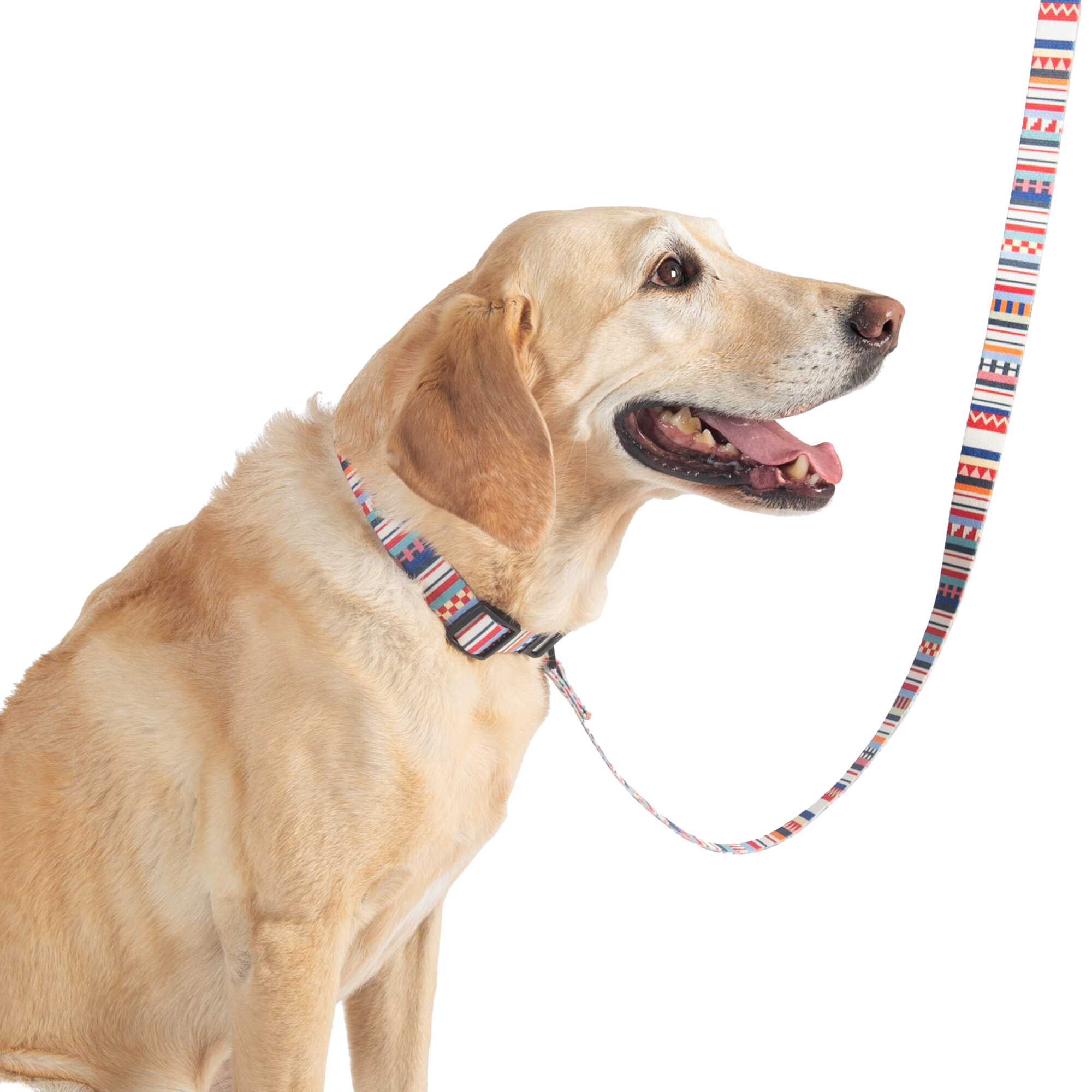 DOG-COLLAR-LEASH-PENDLETON-ADVENTURE-TAMIAMI-BOULDERBARKS