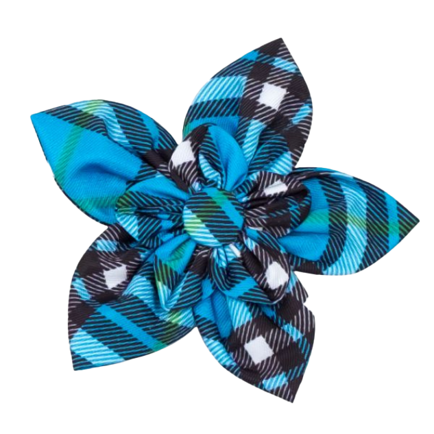 DOG-COLLAR-SLIDER-FLOWER-BLUE-PLAID