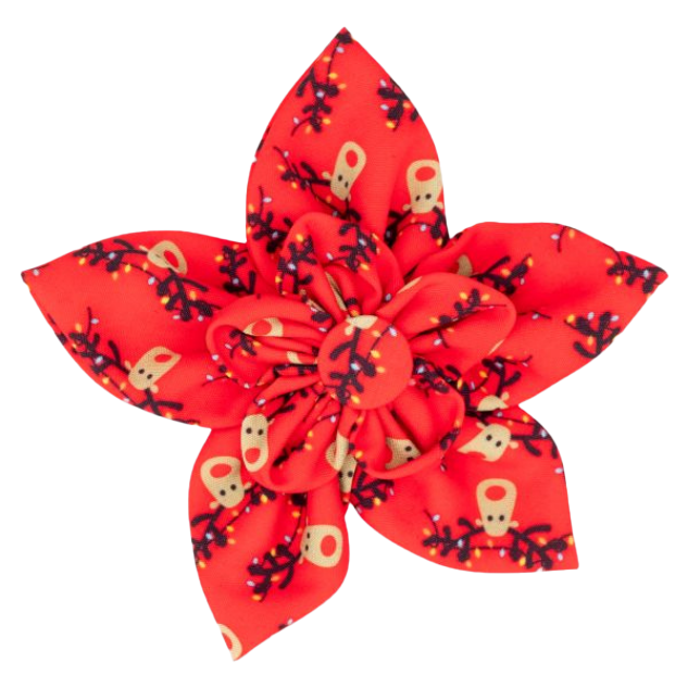 DOG-COLLAR-SLIDER-FLOWER-CHRISTMAS-REINDEER