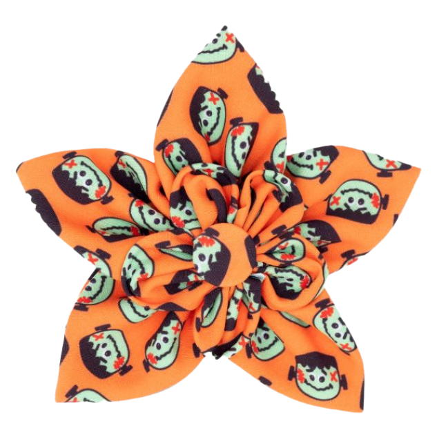 DOG-COLLAR-SLIDER-FLOWER-FRANKENSTEIN-HALLOWEEN