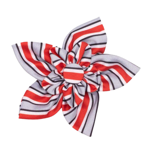 DOG-COLLAR-SLIDER-FLOWER-OHIO-STATE-HELMET-STRIPES